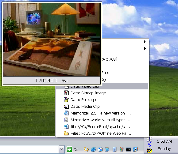 XP Screenshot: With Memorizer you can easily preview any piece of stored data.